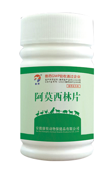 阿莫西林片